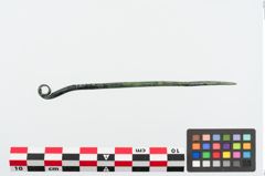 Foto von Bronzerollenkopfnadel (NHMW-PRAE-024851)